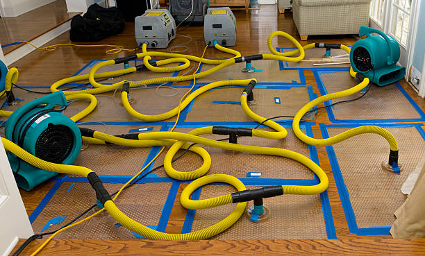 Professional Flood Damage Restoration technician working in Trumbull, CT